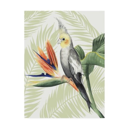 Grace Popp 'Avian Paradise I' Canvas Art,18x24